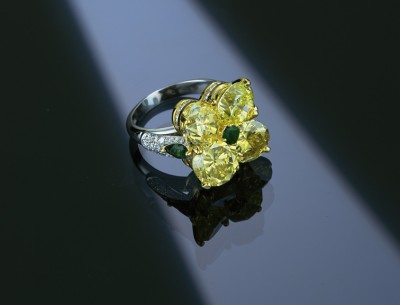 03PRINT-YELLOW-RING-10.jpg