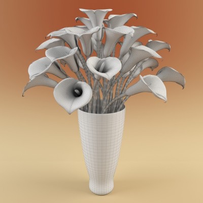 Calla_20flower_vase_204_s2.jpg39f270fa_fdba_4cc0_a735_697bf6c15f86Large (1).jpg